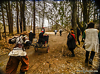 Outcast Hunting Party
