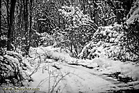 December, 2014