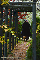 Winterdark Gardens